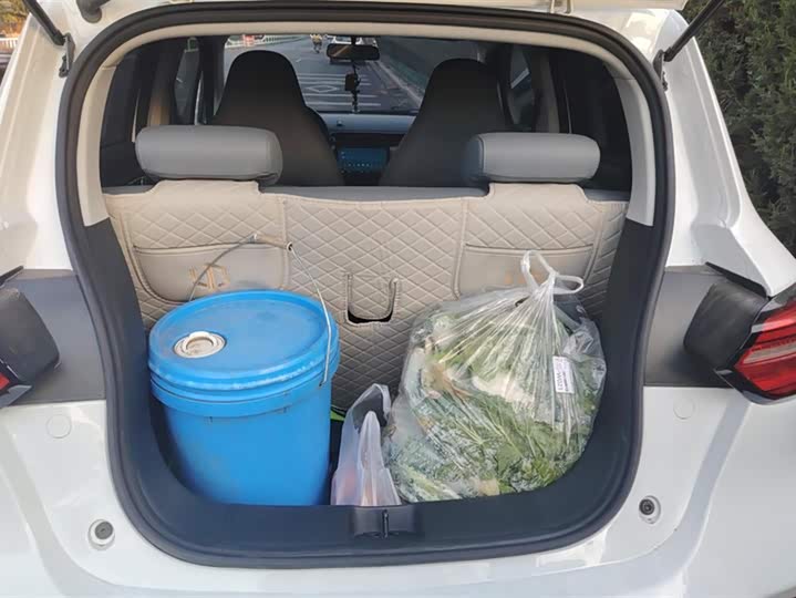 Фото 4 - Leapmotor T03