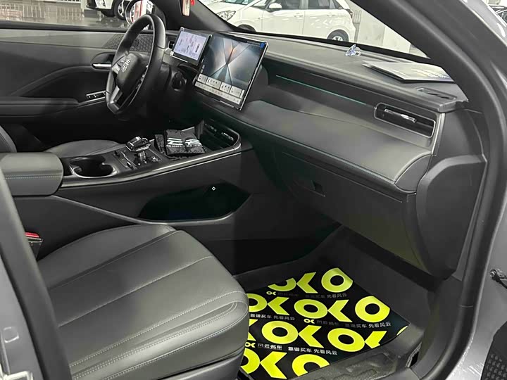 Фото 4 - BYD Qin Plus