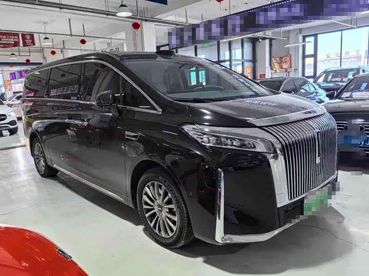 Фото 2 - Wey Gaoshan