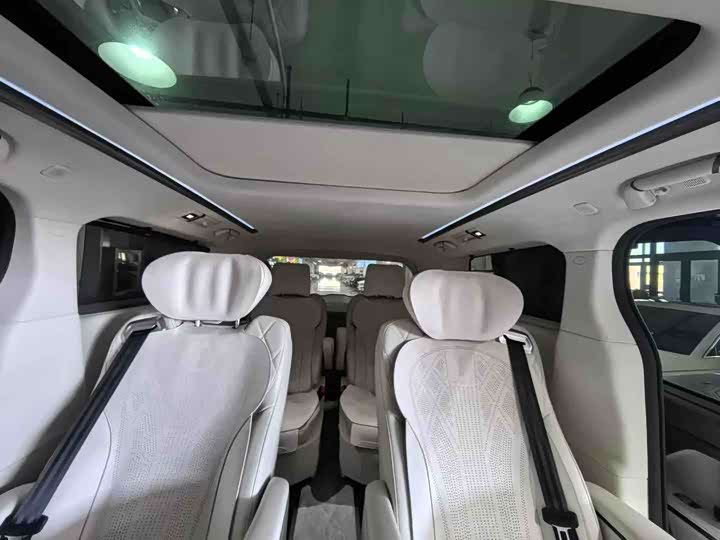 Фото 6 - Wey Gaoshan