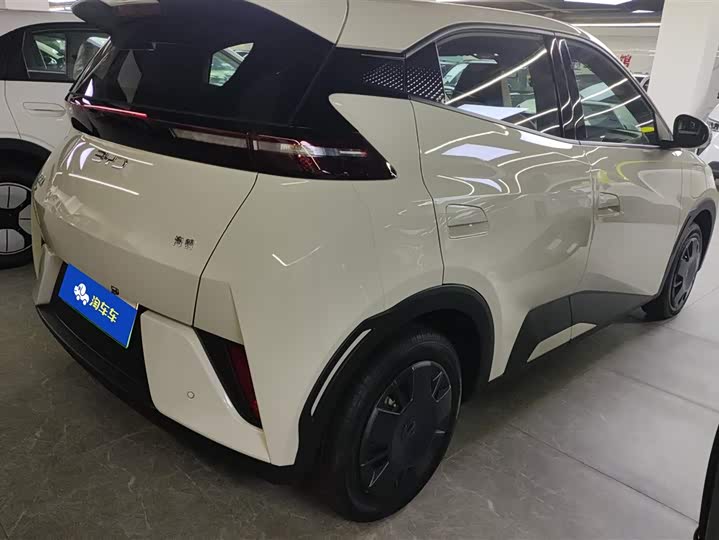 Фото 3 - BYD Seagull