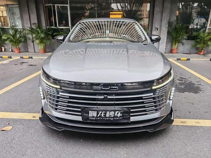 Фото 2 - BYD Destroyer 05