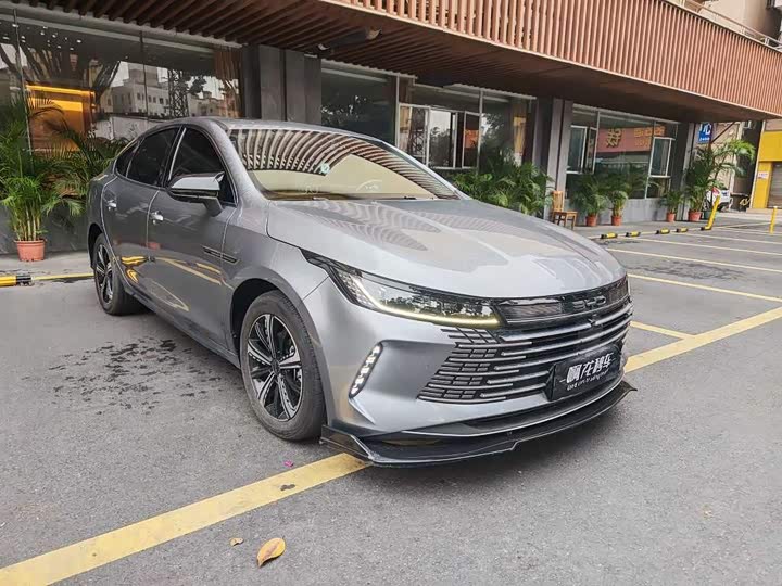 Фото 3 - BYD Destroyer 05