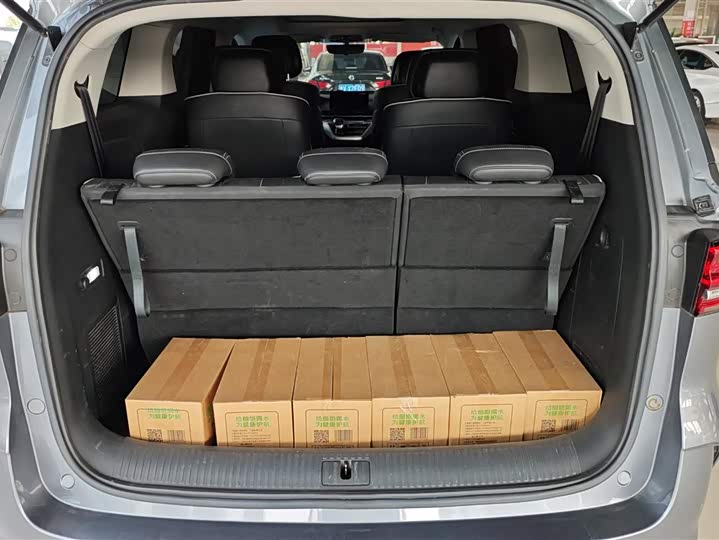 Фото 4 - Roewe iMax 8