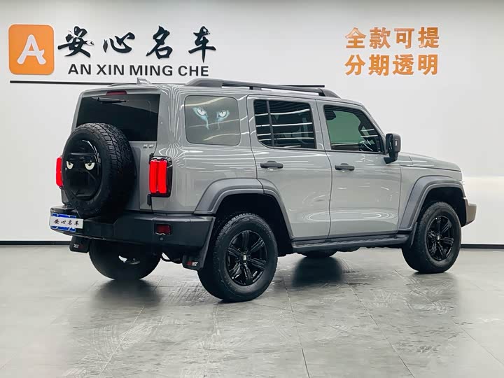 Фото 3 - Tank 300