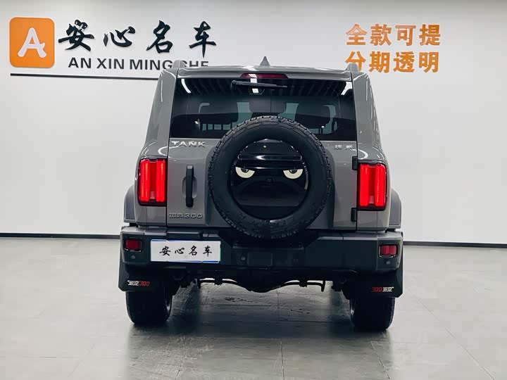 Фото 4 - Tank 300