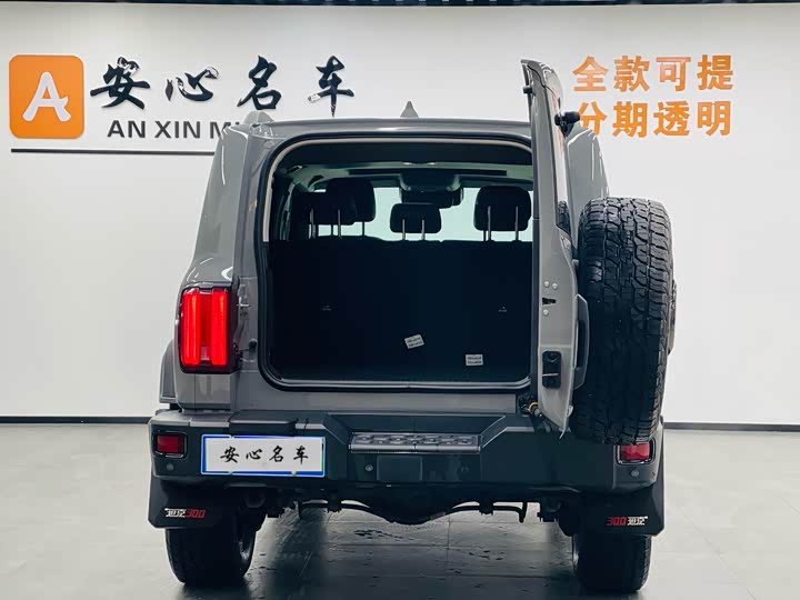 Фото 5 - Tank 300