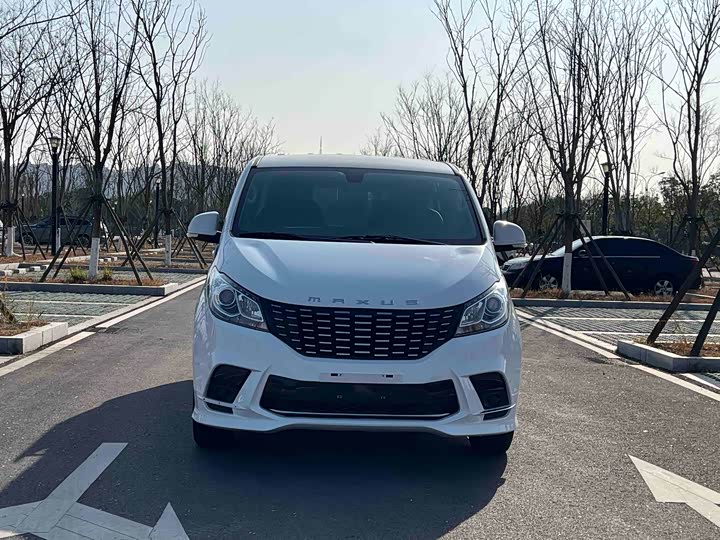 Фото 1 - Maxus G10