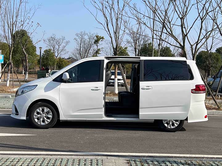 Фото 2 - Maxus G10