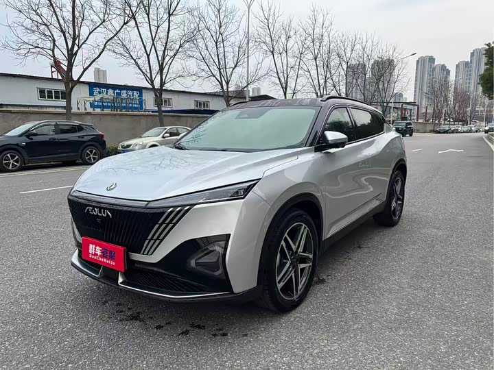 Фото 3 - Dongfeng Aeolus Haohan