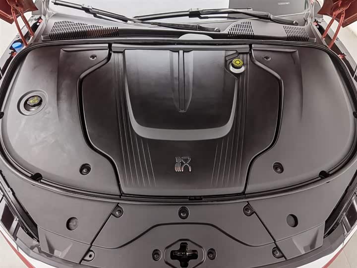 Фото 6 - BYD Han