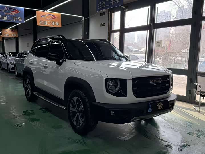 Фото 2 - Haval Dargo