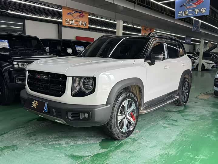 Фото 3 - Haval Dargo