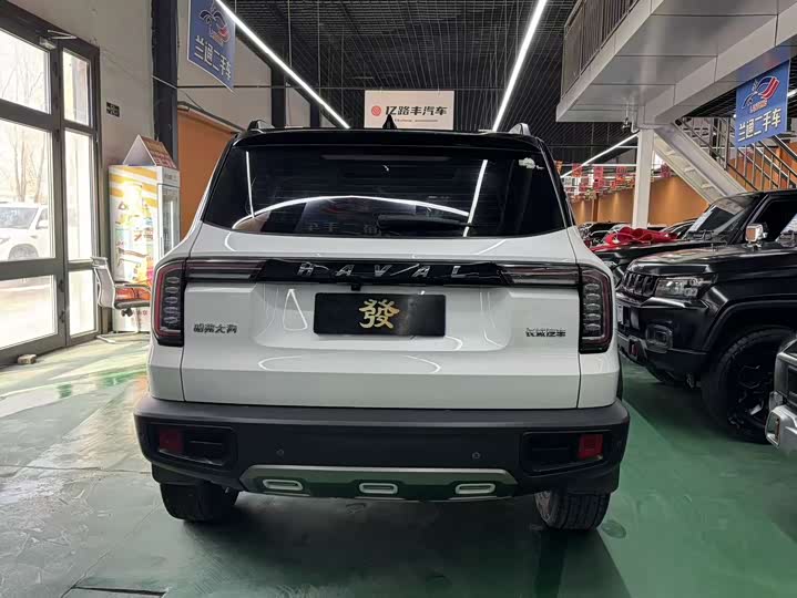 Фото 4 - Haval Dargo