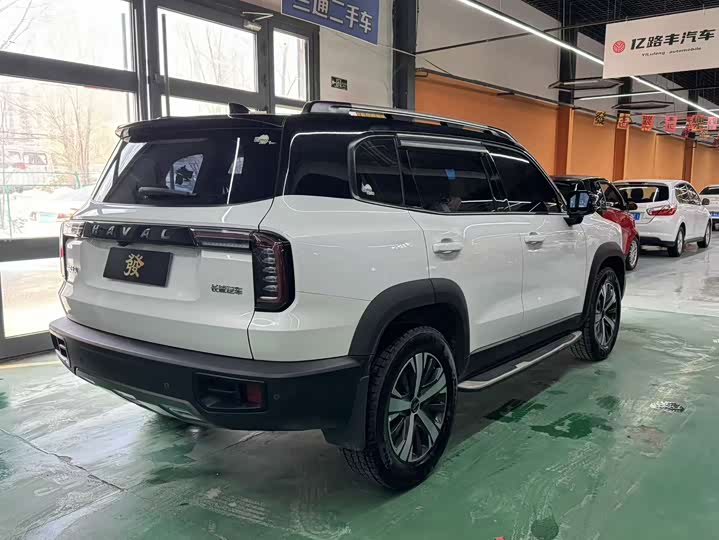 Фото 6 - Haval Dargo