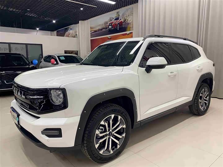 Фото 1 - Haval H-Dog