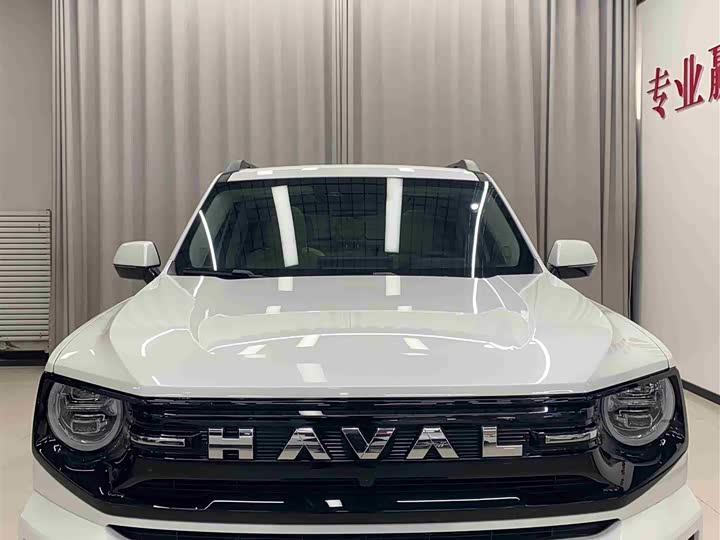 Фото 2 - Haval H-Dog