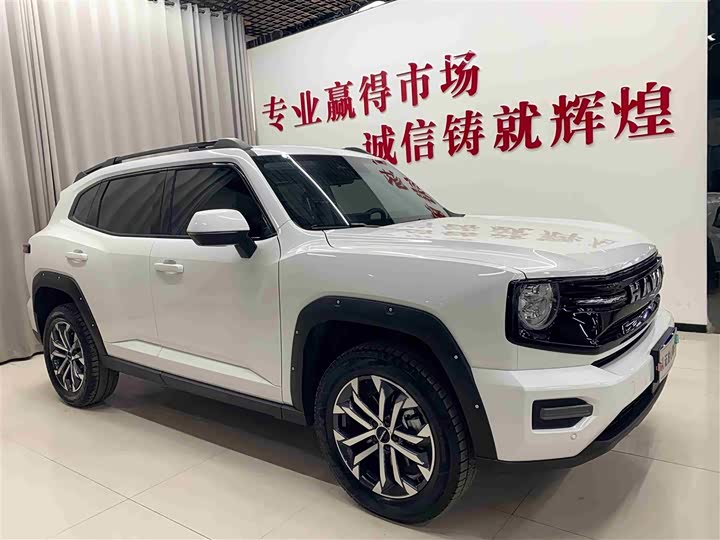 Фото 3 - Haval H-Dog