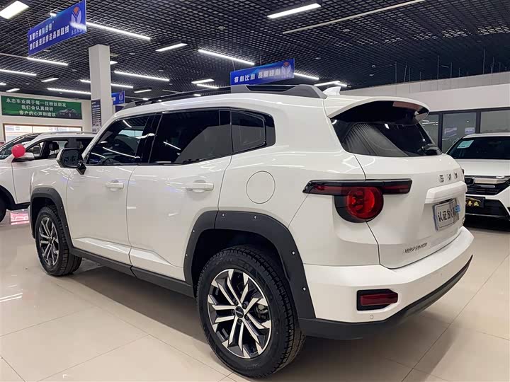 Фото 4 - Haval H-Dog