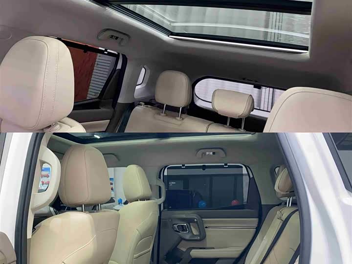 Фото 8 - Haval H-Dog