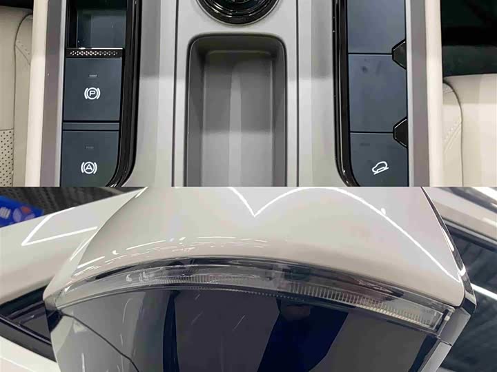 Фото 9 - Haval H-Dog