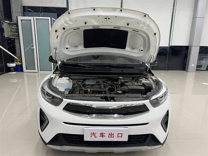 Фото 7 - Kia KX1