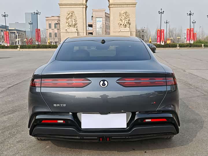 Фото 8 - Denza Z9