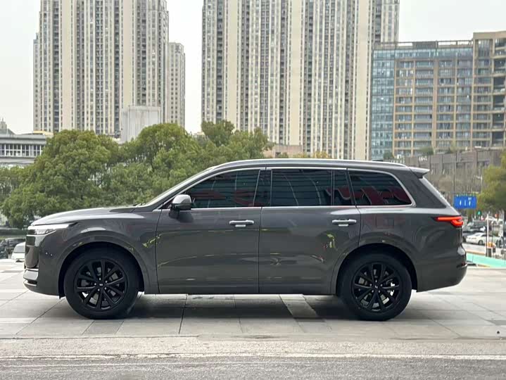 Фото 3 - LiXiang One