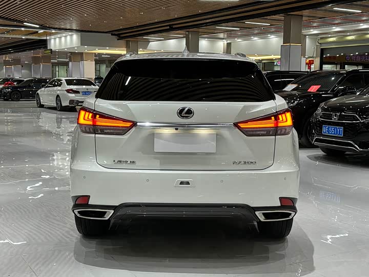 Фото 5 - Lexus RX