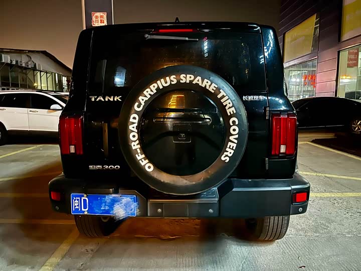 Фото 5 - Tank 300