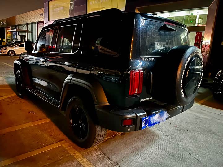 Фото 6 - Tank 300