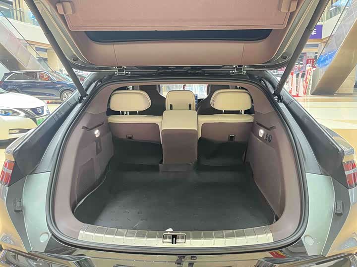 Photo 4 - Denza Z9GT