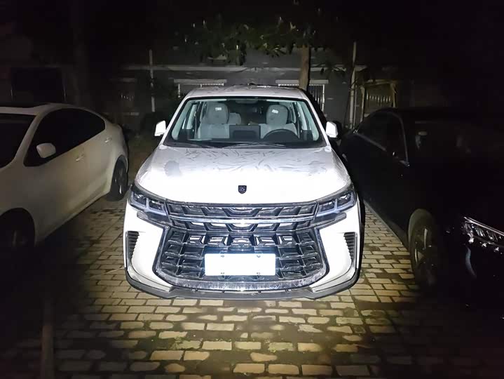 Фото 2 - Dongfeng Forthing T5