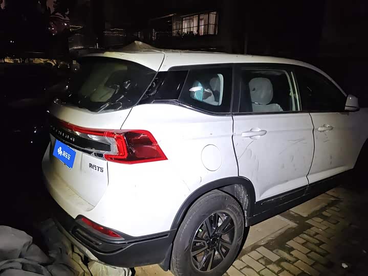 Фото 3 - Dongfeng Forthing T5