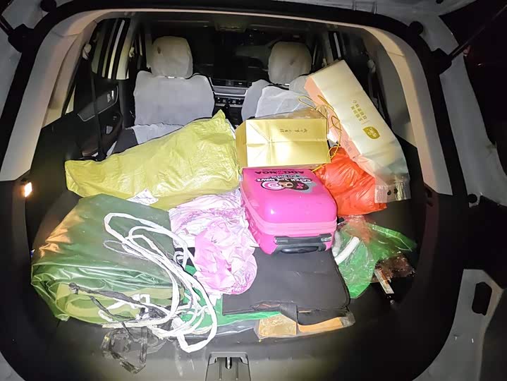 Фото 4 - Dongfeng Forthing T5