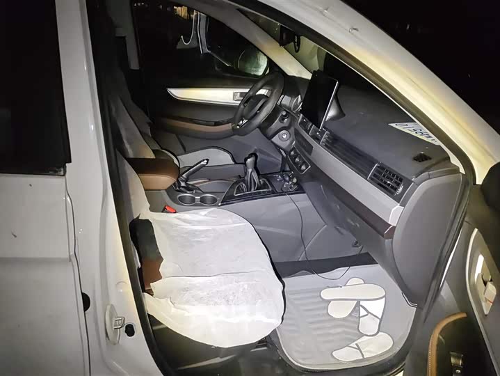 Фото 8 - Dongfeng Forthing T5