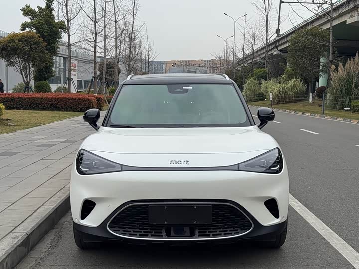 Фото 2 - Smart #1