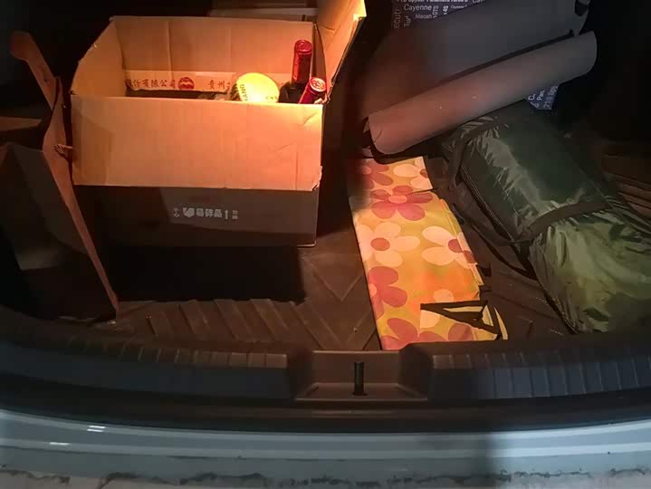 Фото 4 - Volkswagen Sagitar L