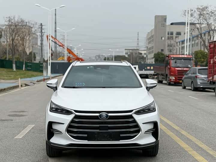 Фото 2 - BYD Tang Hybrid/EV