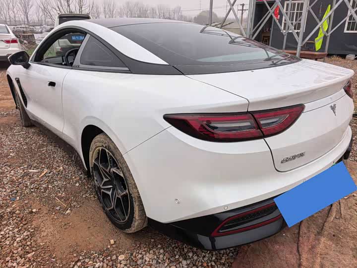 Фото 6 - Hozon GT