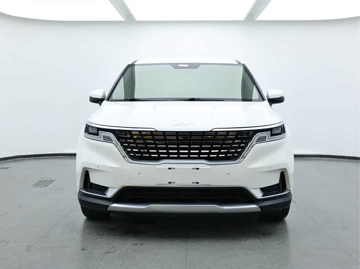 Фото 2 - Kia Carnival