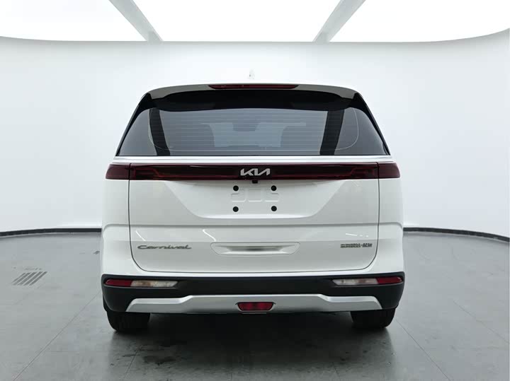 Фото 5 - Kia Carnival