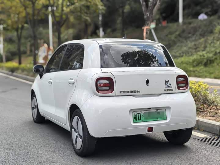 Фото 9 - Ora Black Cat