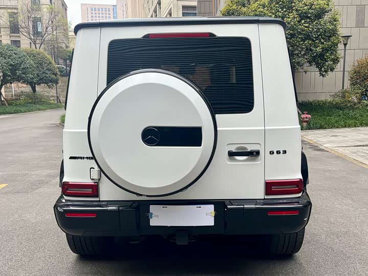 Фото 6 - Mercedes-Benz G-Class AMG