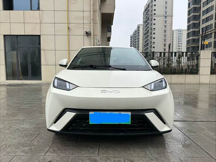 Фото 2 - BYD Seagull