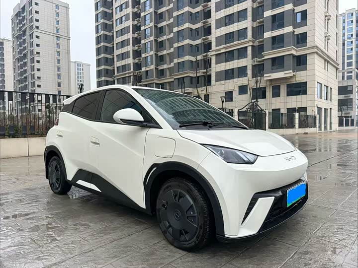 Фото 3 - BYD Seagull