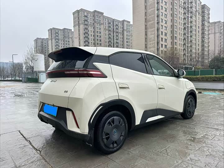 Фото 4 - BYD Seagull