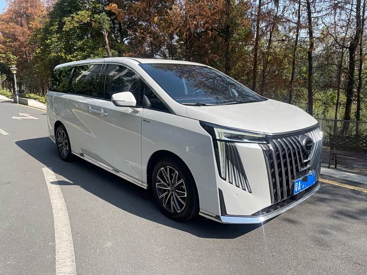 Фото 3 - GAC Trumpchi M8