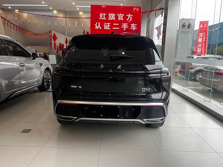 Фото 6 - Hongqi HS3