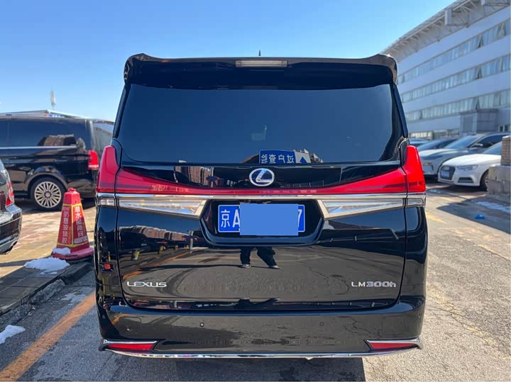 Фото 5 - Lexus LM